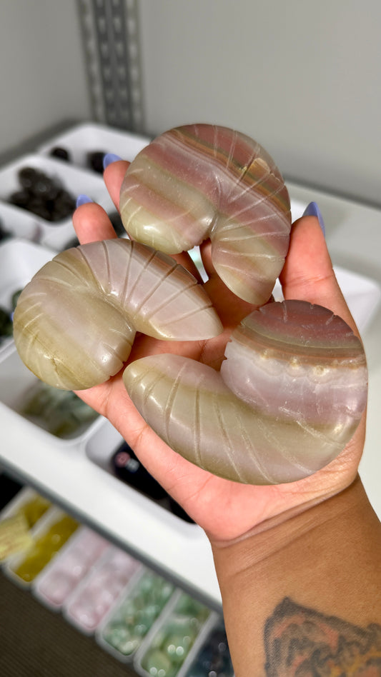 One (1) Banded Calcite Ammonite Shell Carving | Intuitively Chosen