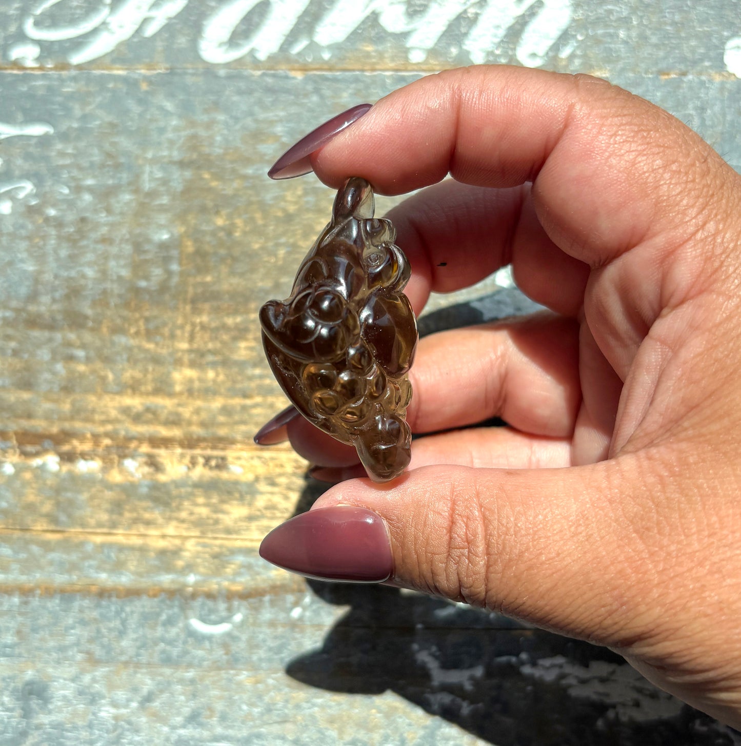 Gorgeous Natural Smokey Quartz Money Toad | Money Manifester | Opt A