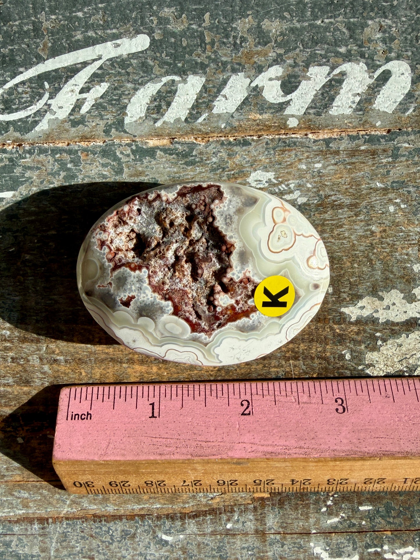 Gorgeous Crazy Lace Agate Palm Stone | Opt K