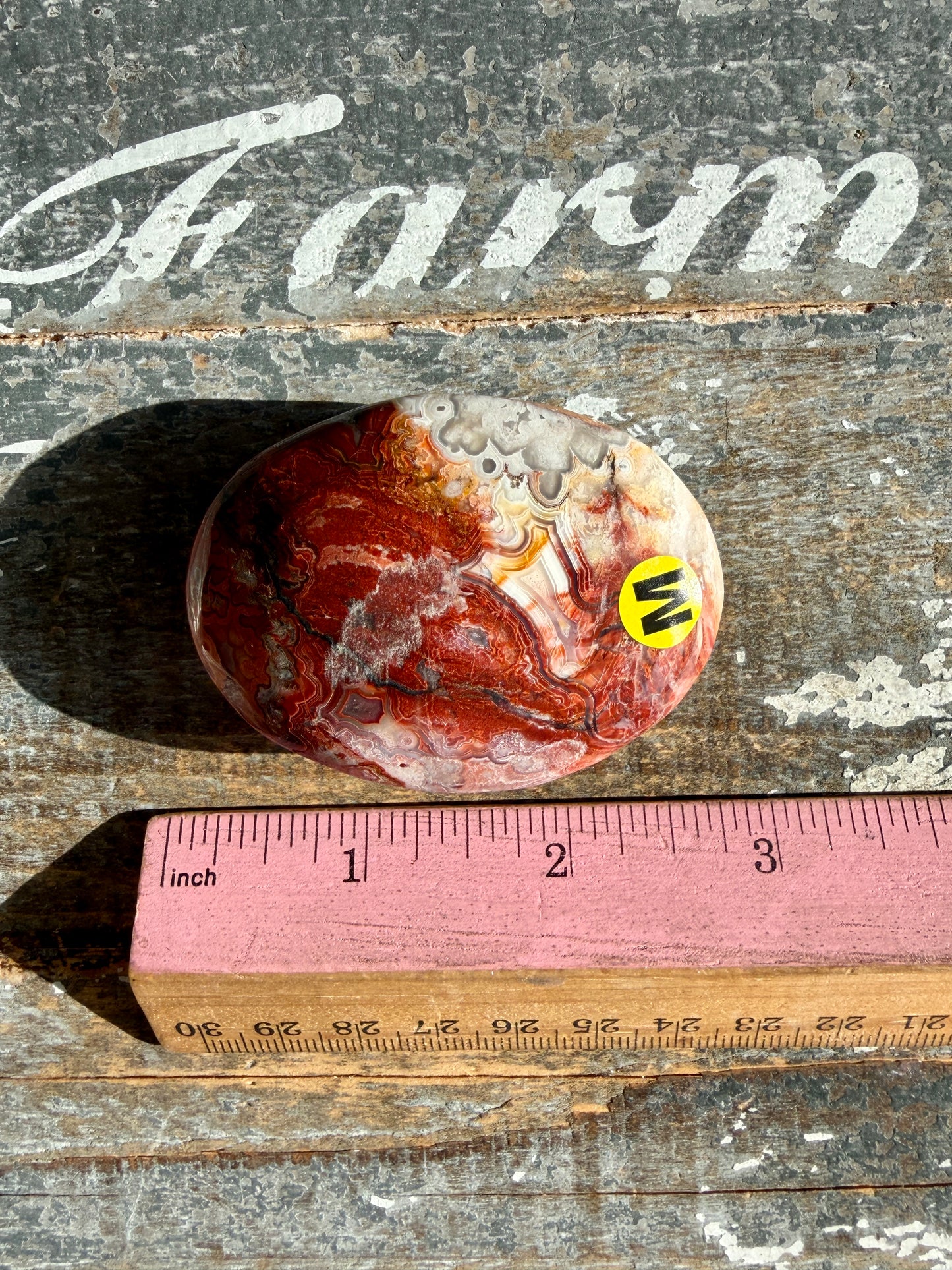 Gorgeous Crazy Lace Agate Palm Stone | Opt M