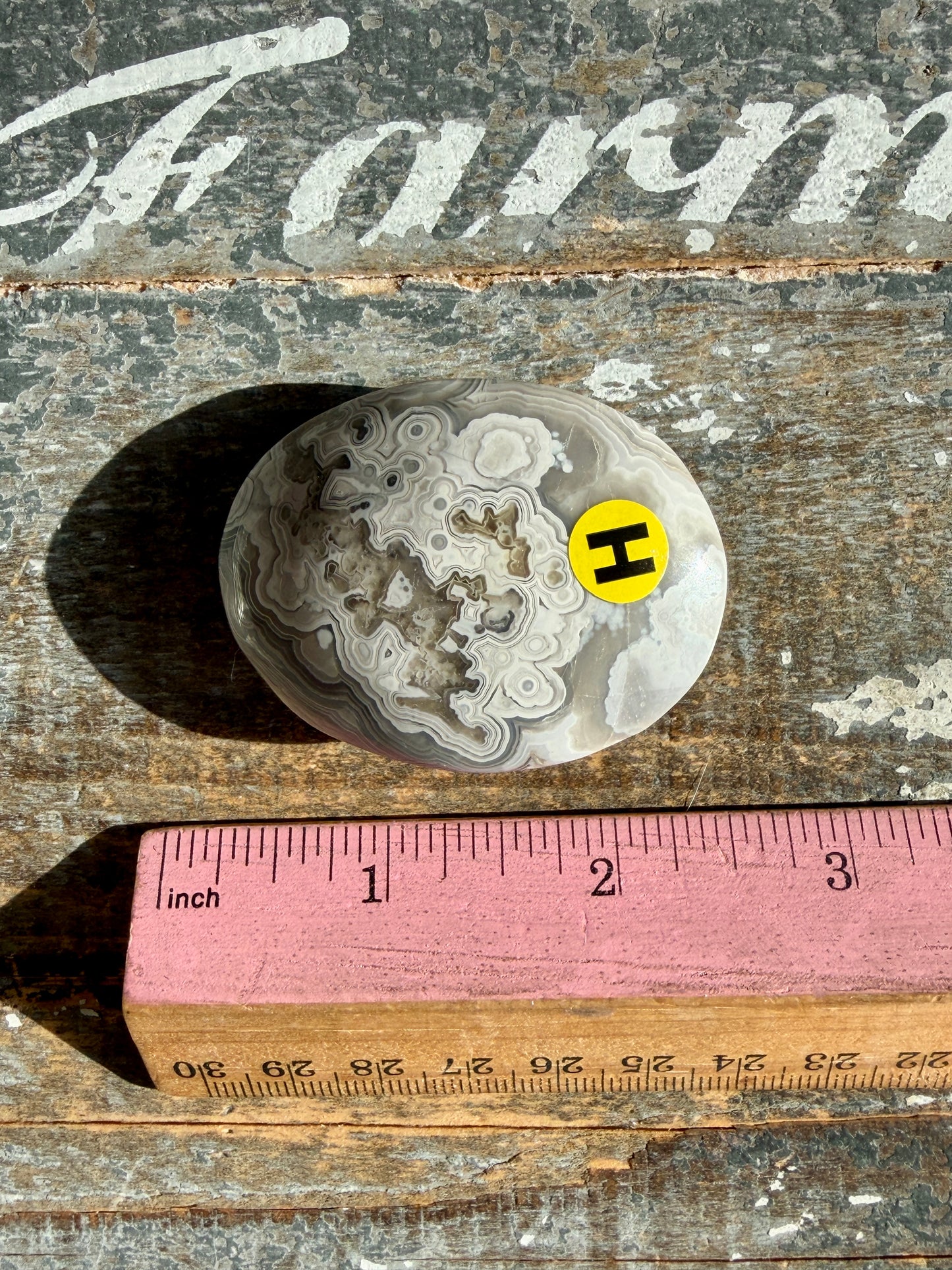 Gorgeous Crazy Lace Agate Palm Stone | Opt H