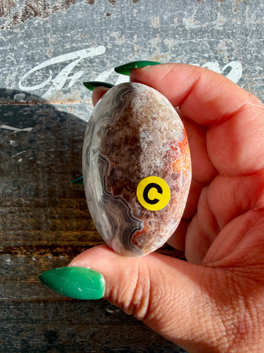 Gorgeous Crazy Lace Agate Palm Stone | Opt C
