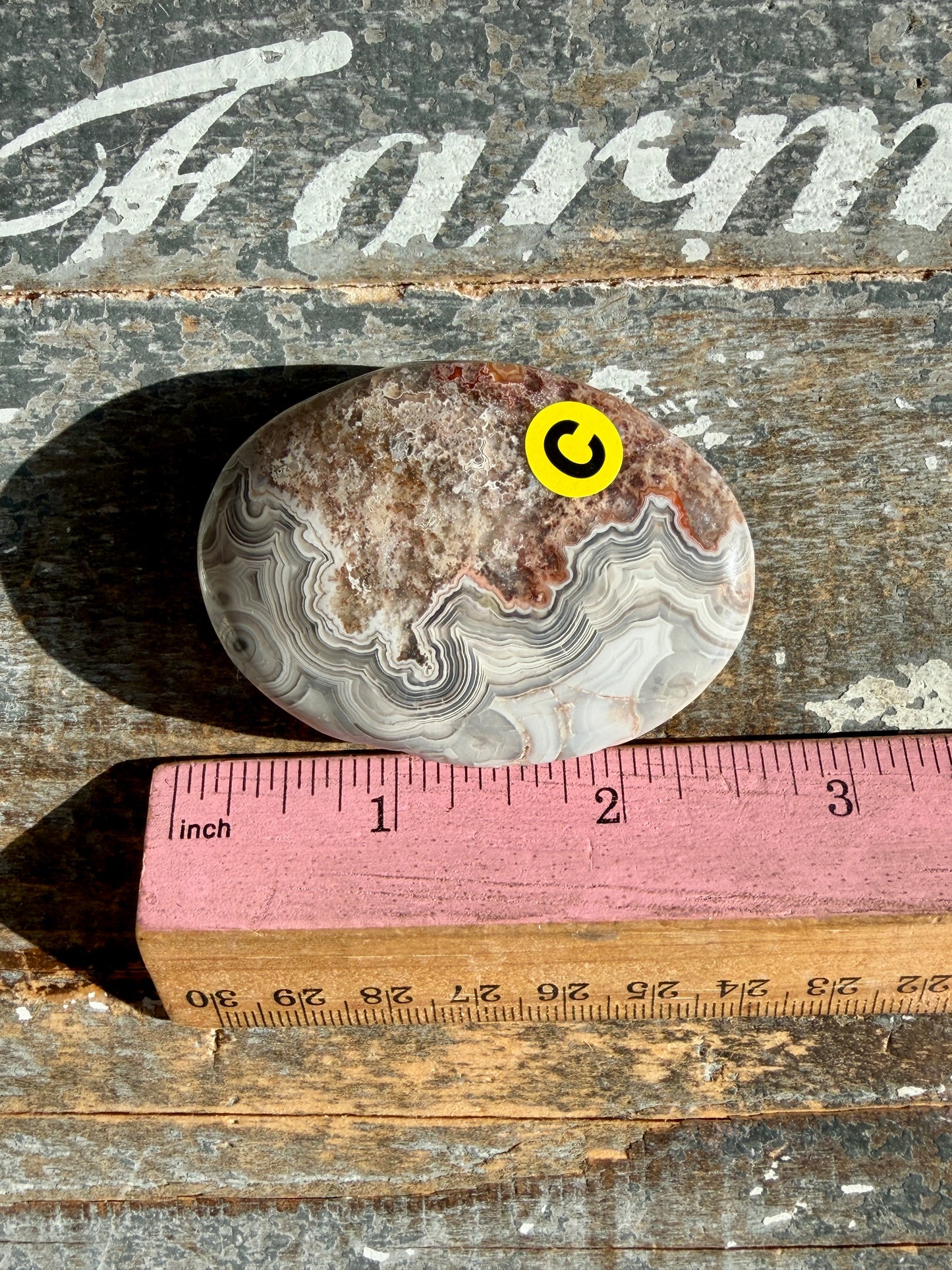 Gorgeous Crazy Lace Agate Palm Stone | Opt C