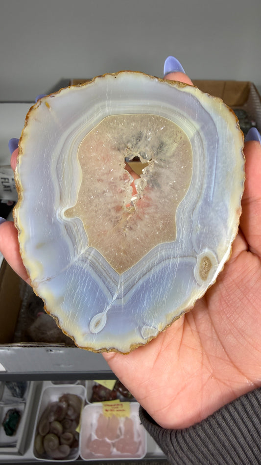Gorgeous Agate Geode Slice | Opt 56
