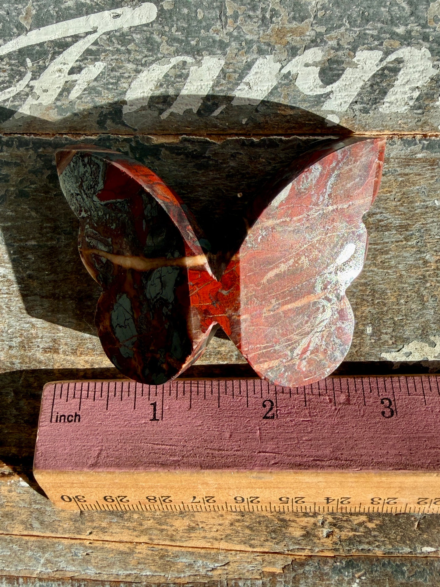 Gorgeous Jaspillite Butterfly | Opt D