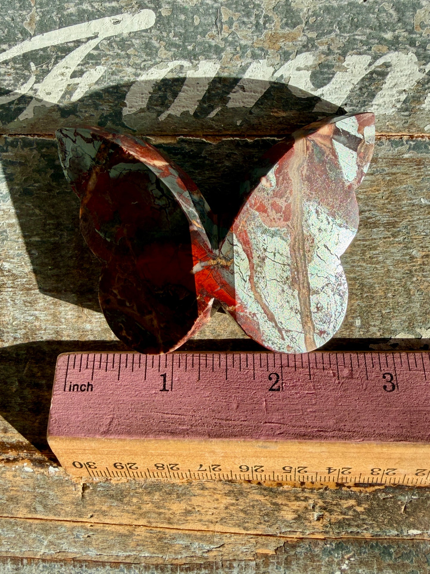 Gorgeous Jaspillite Butterfly | Opt E