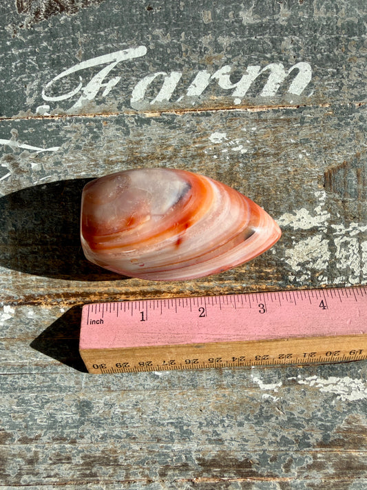 Gorgeous Carnelian + Orca Agate Flame | Opt OP