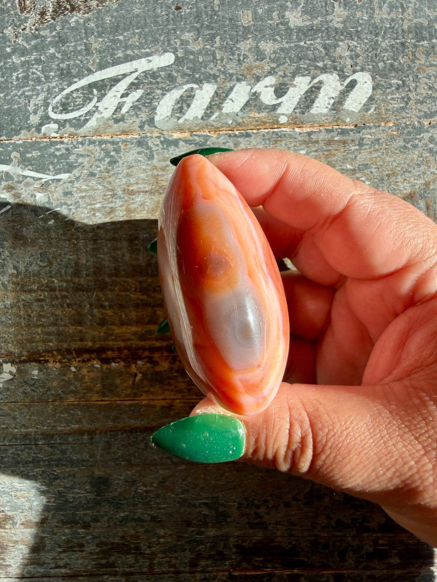 Gorgeous Carnelian + Orca Agate Flame | Opt BC