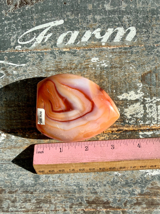 Gorgeous Carnelian + Orca Agate Flame | Opt WW