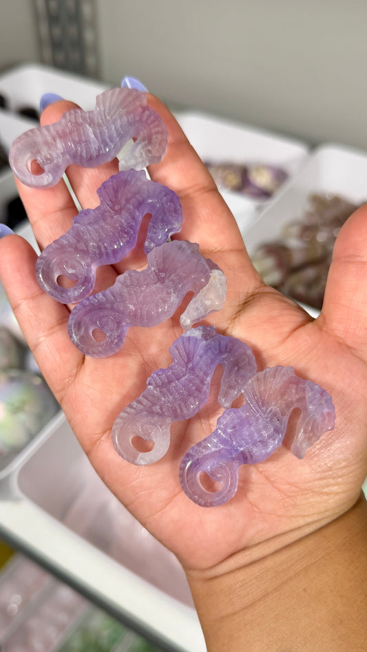 One (1) Purple Fluorite Sea Horse | Intuitively Chosen