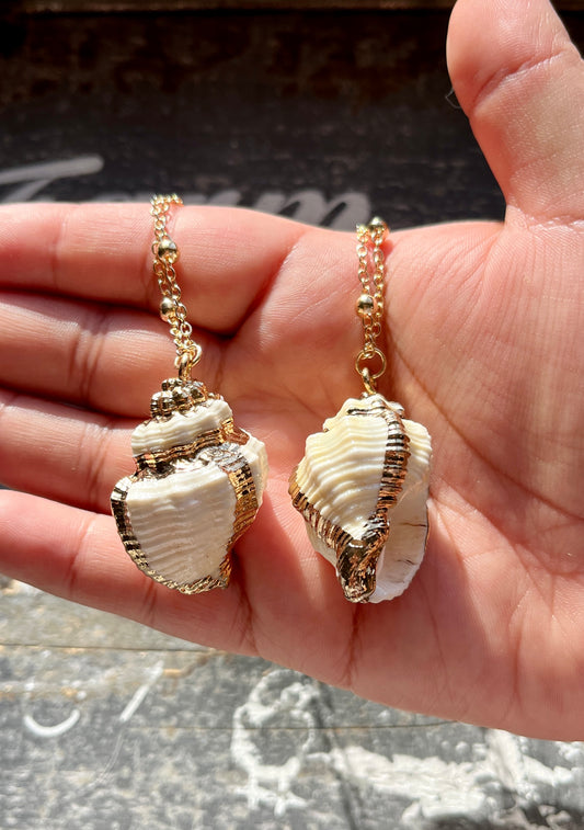 Gorgeous Gold Tipped Sea Shell Necklace