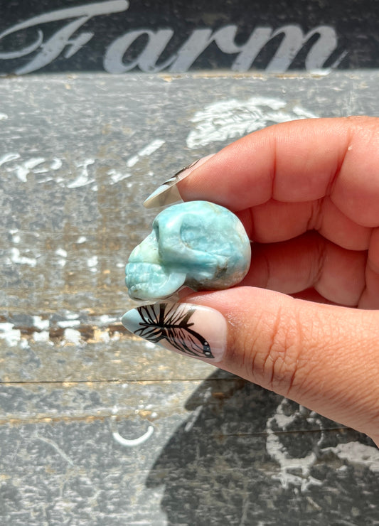 Gorgeous Larimar Hand Carved Skull from the Dominican Republic *Tucson Exclusive*
