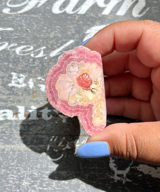 Gorgeous AAA Quality Rare Rhodochrosite Slab from Argentina! *TUCSON EXCLUSIVE*