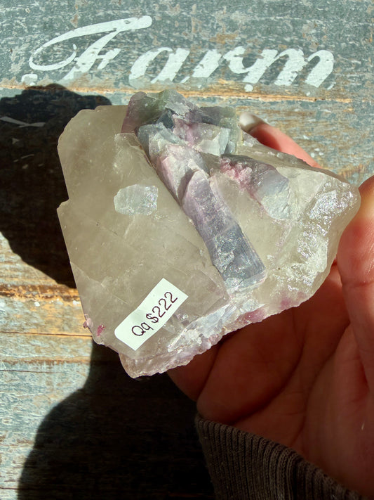 Watermelon Tourmaline | Opt Qq