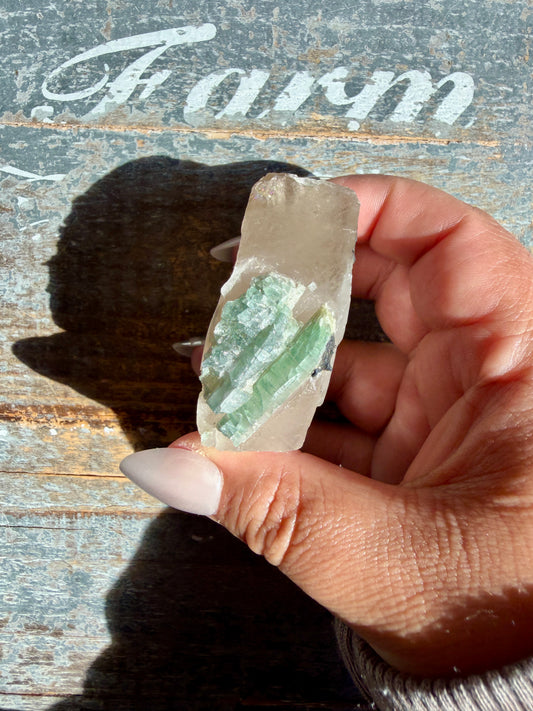 Watermelon Tourmaline | Opt Ll