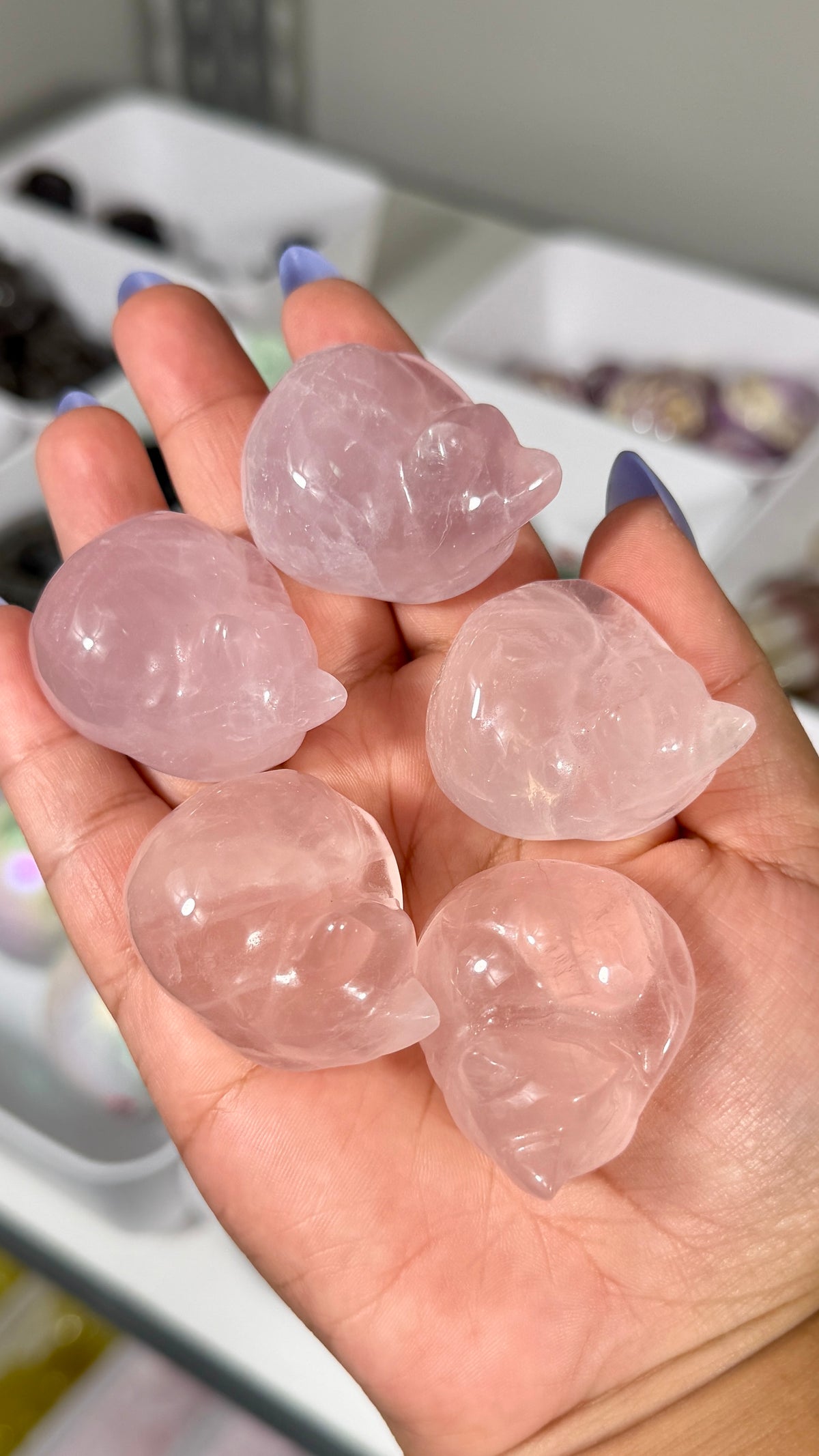 One (1) Gorgeous Rose Quartz Sleeping Kitty | Intuitively Chosen