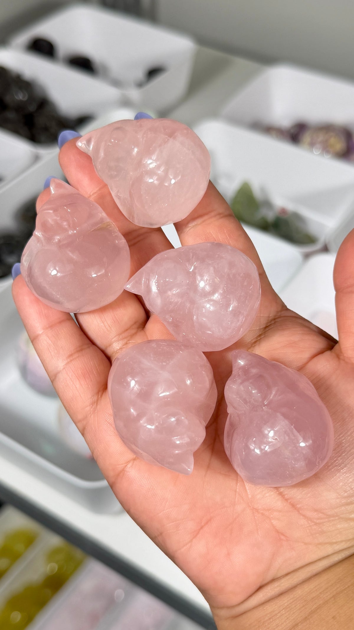 One (1) Gorgeous Rose Quartz Sleeping Kitty | Intuitively Chosen