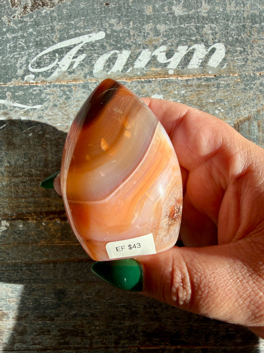 Gorgeous Carnelian + Orca Agate Flame | Opt EF