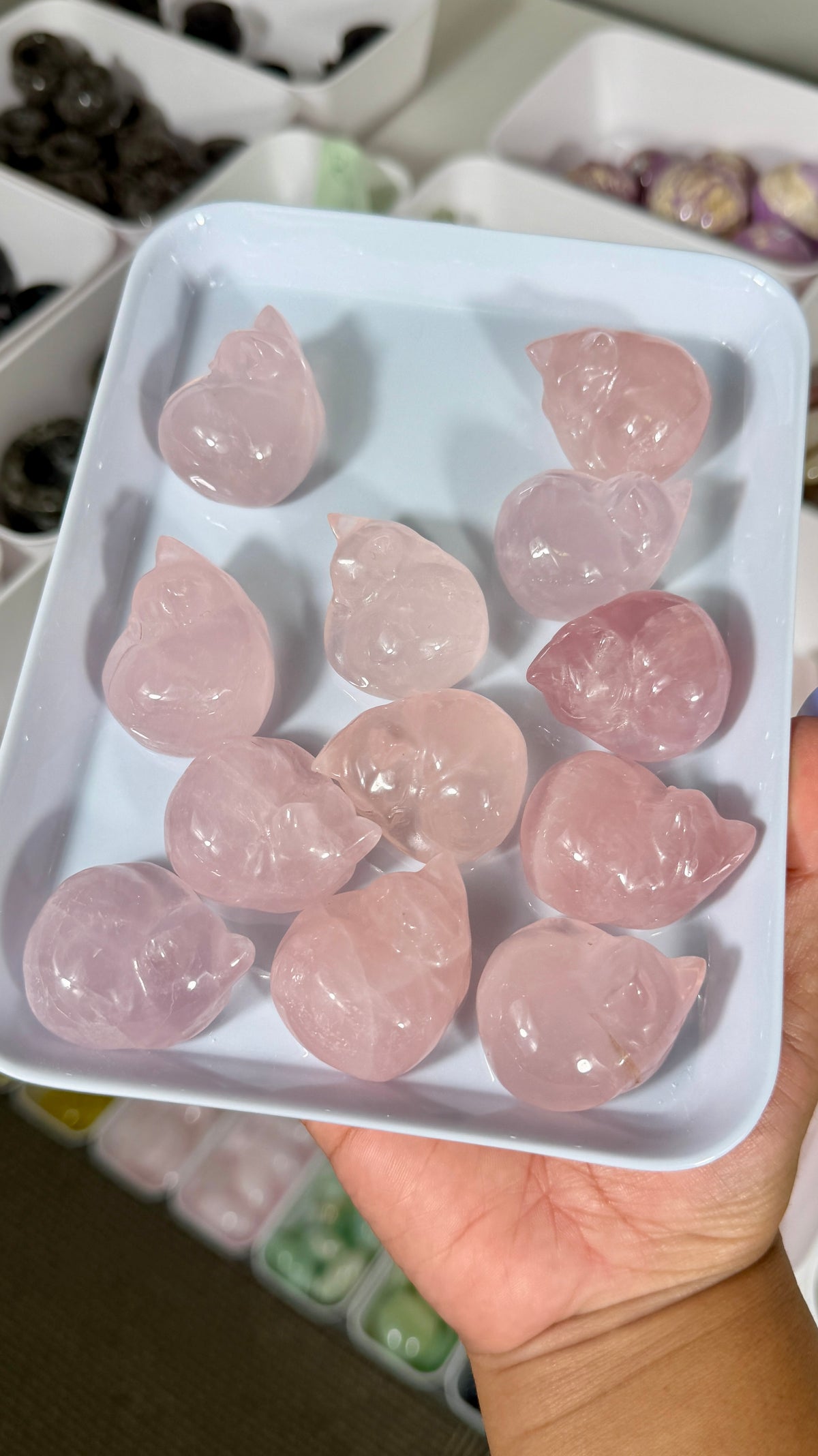 One (1) Gorgeous Rose Quartz Sleeping Kitty | Intuitively Chosen