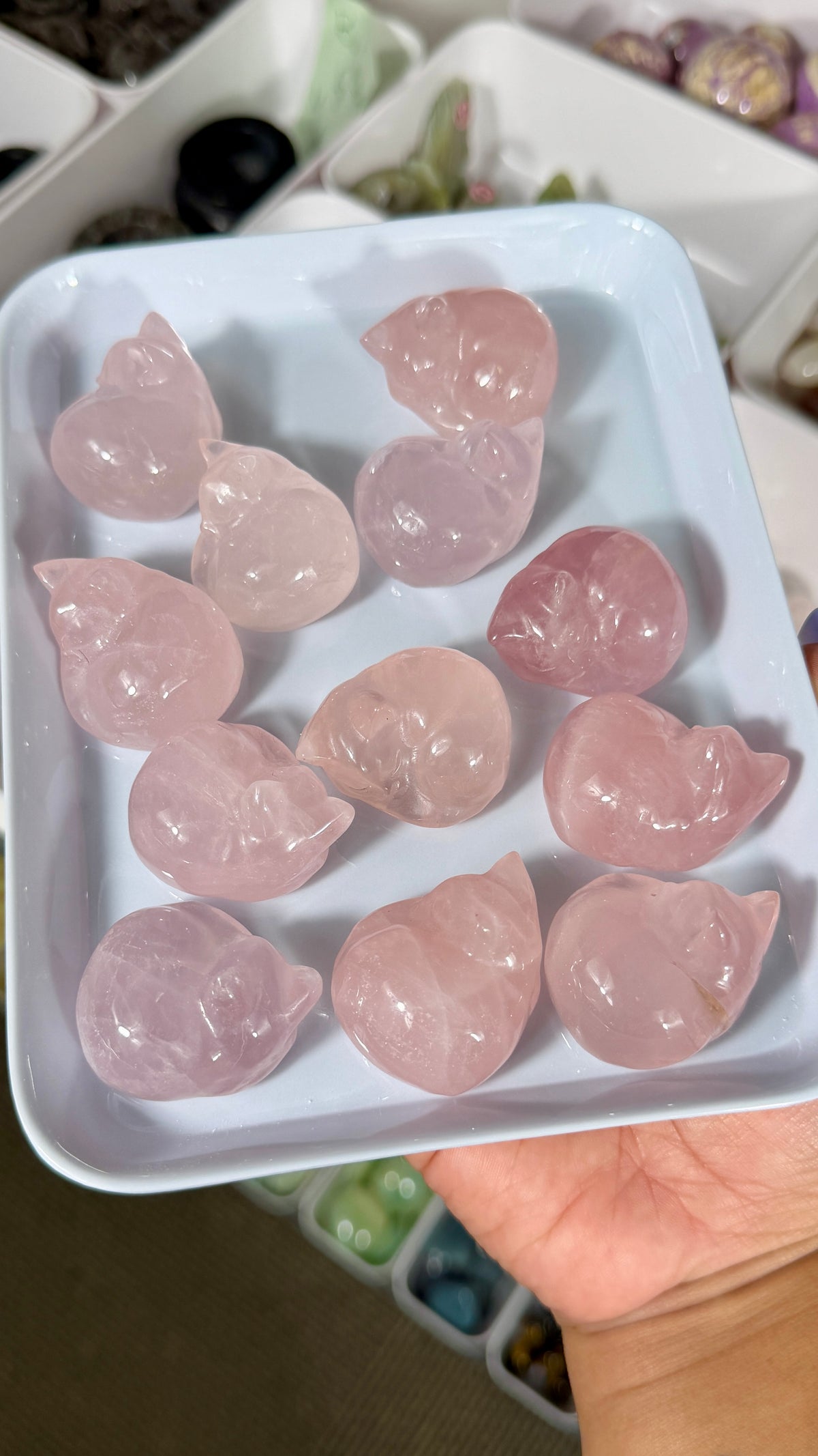 One (1) Gorgeous Rose Quartz Sleeping Kitty | Intuitively Chosen