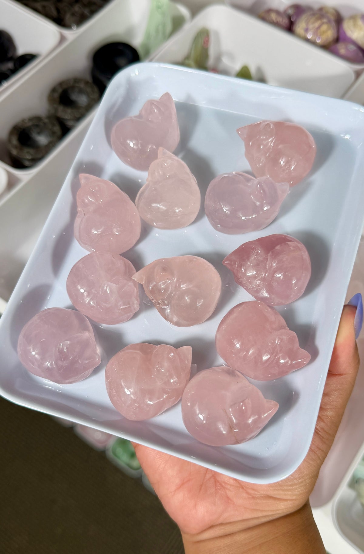 One (1) Gorgeous Rose Quartz Sleeping Kitty | Intuitively Chosen