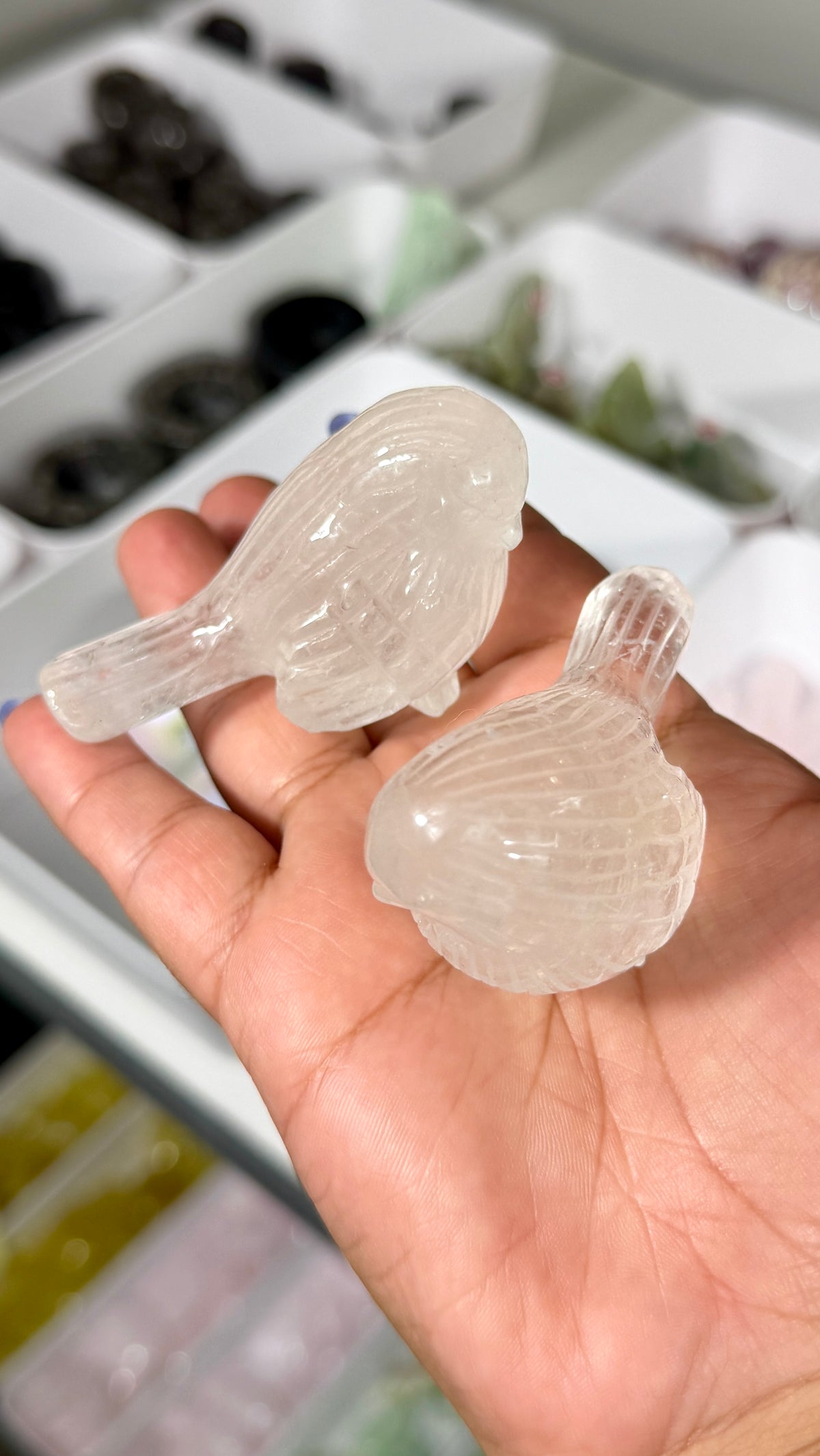 One (1) Gorgeous Clear Quartz Bird w/ Inclusions | Intuitively Chosen