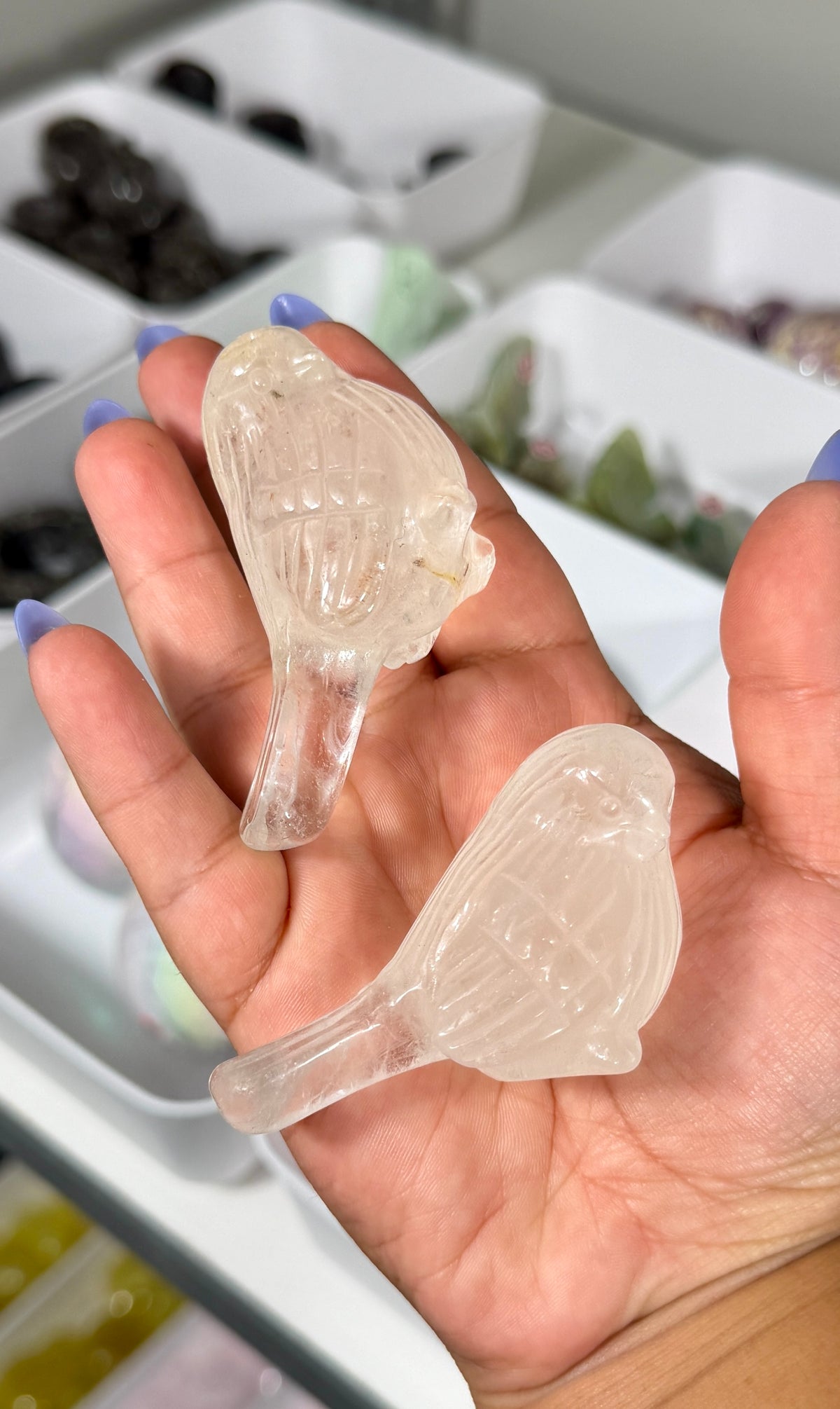 One (1) Gorgeous Clear Quartz Bird w/ Inclusions | Intuitively Chosen