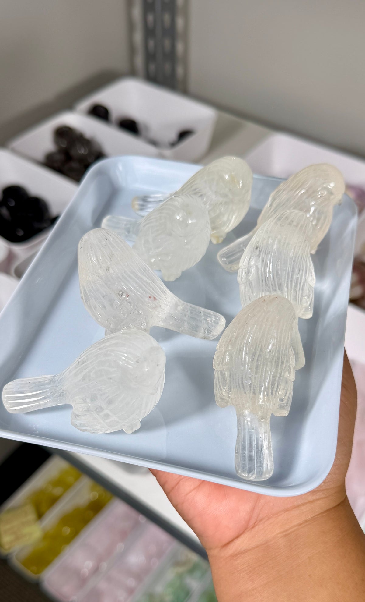 One (1) Gorgeous Clear Quartz Bird w/ Inclusions | Intuitively Chosen