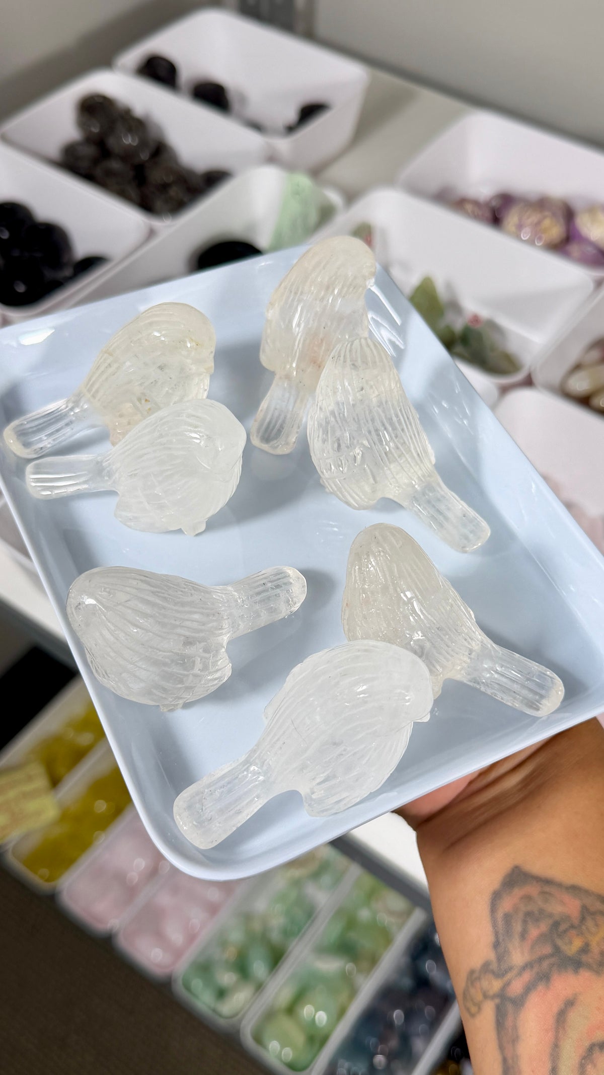 One (1) Gorgeous Clear Quartz Bird w/ Inclusions | Intuitively Chosen
