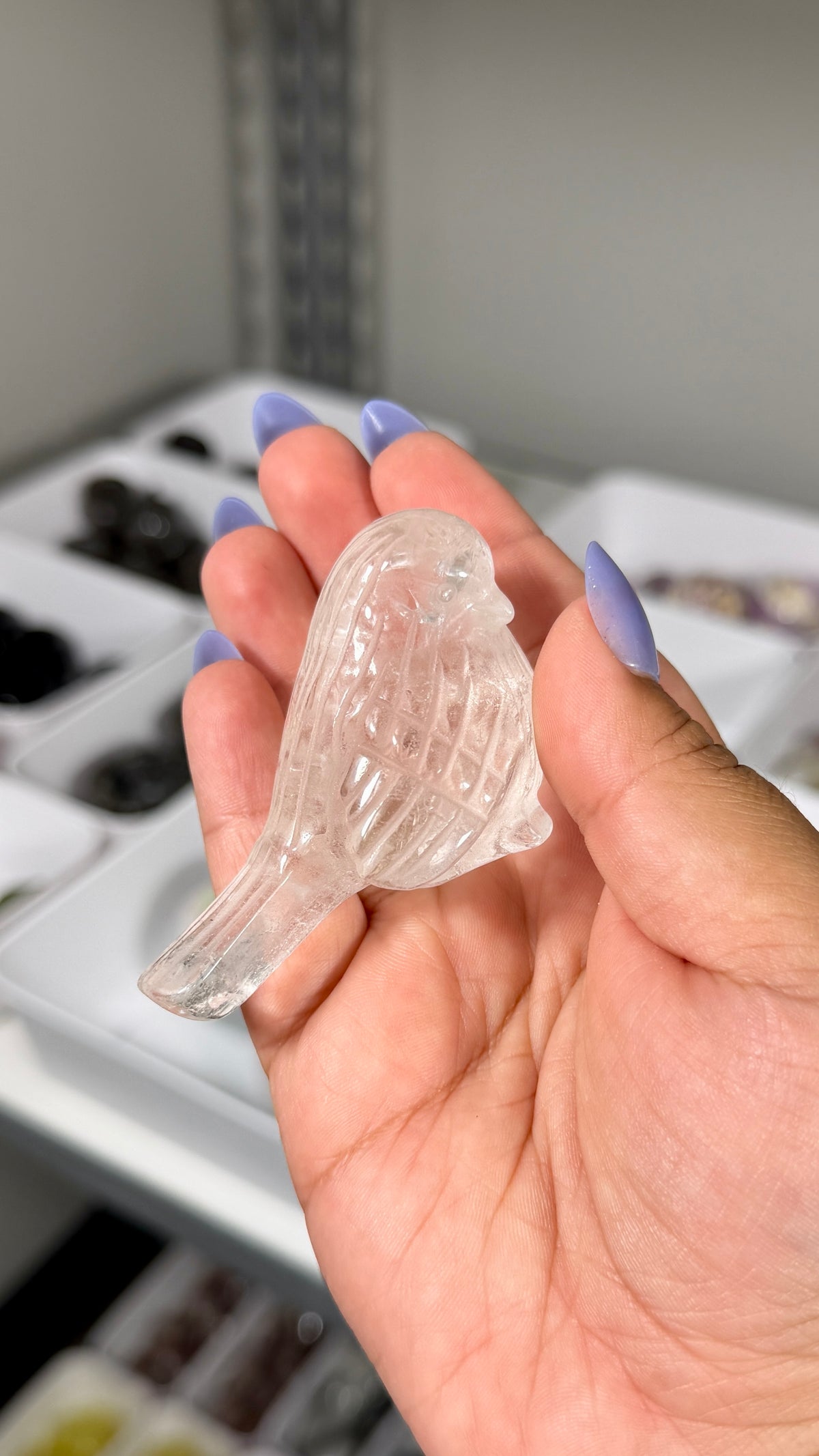 One (1) Gorgeous Clear Quartz Bird w/ Inclusions | Intuitively Chosen