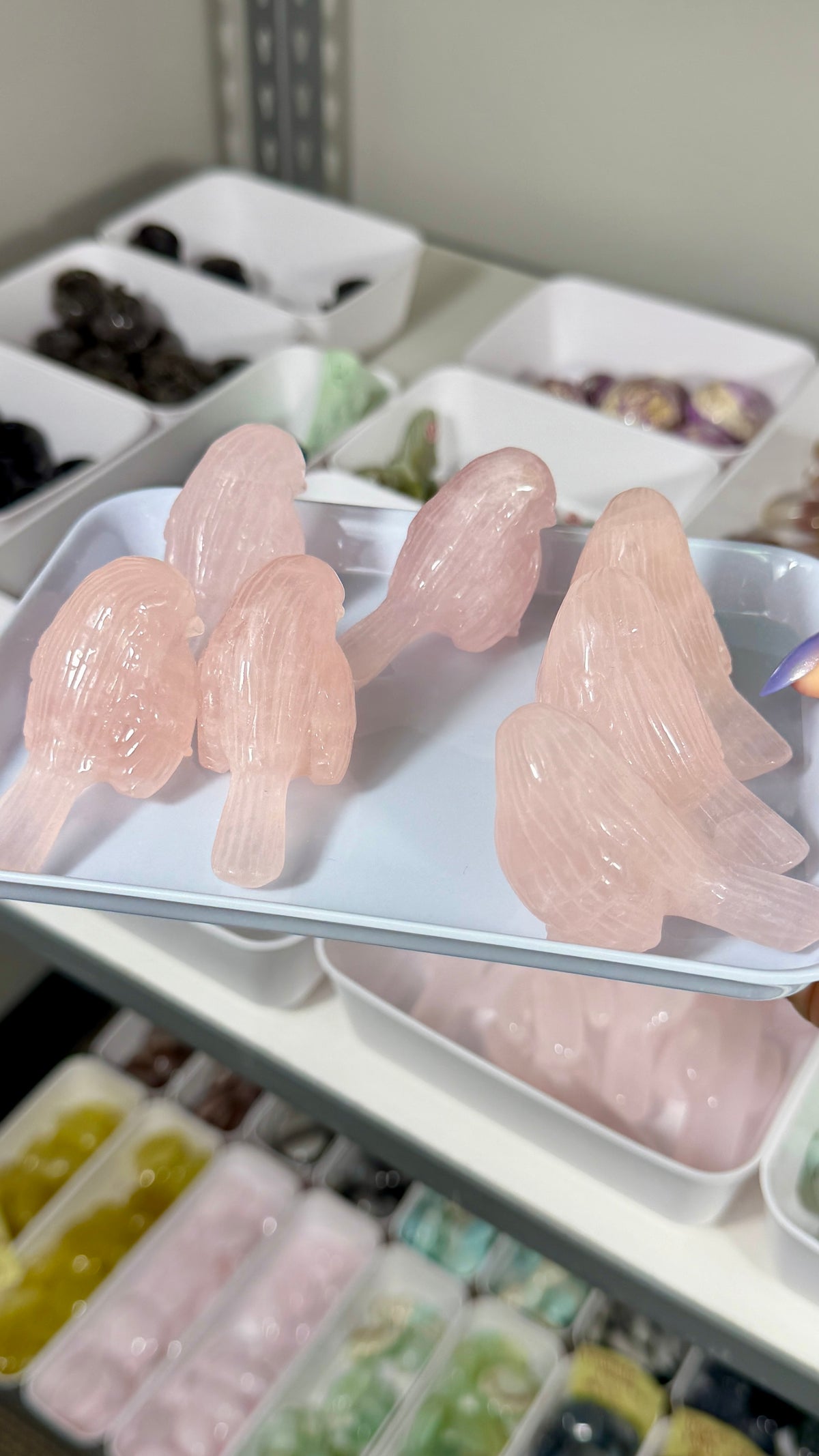 One (1) Gorgeous Rose Quartz Bird | Intuitively Chosen