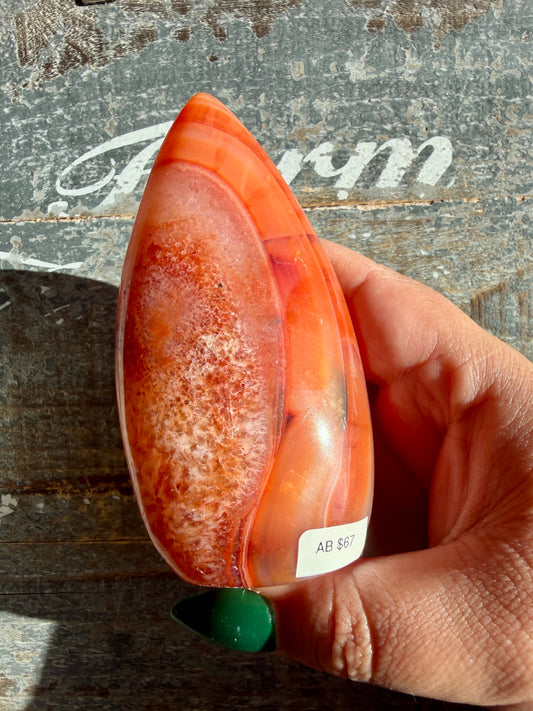 Gorgeous Carnelian + Orca Agate Flame | Opt AB