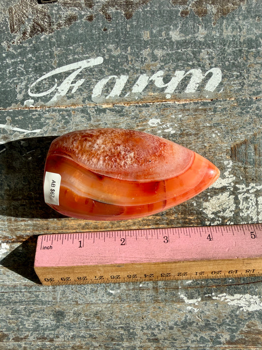 Gorgeous Carnelian + Orca Agate Flame | Opt AB