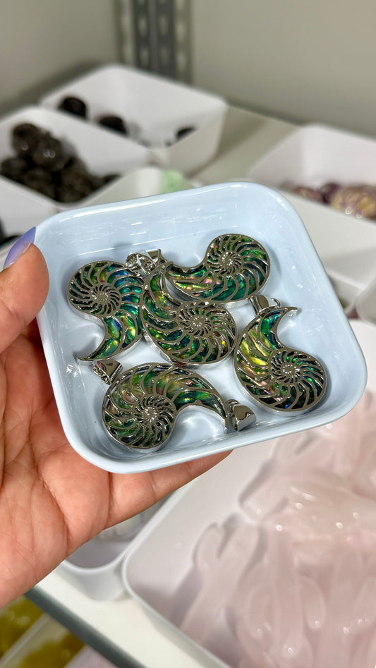 One (1) Abalone Shell Nautilus Shell Pendant | Intuitively Chosen