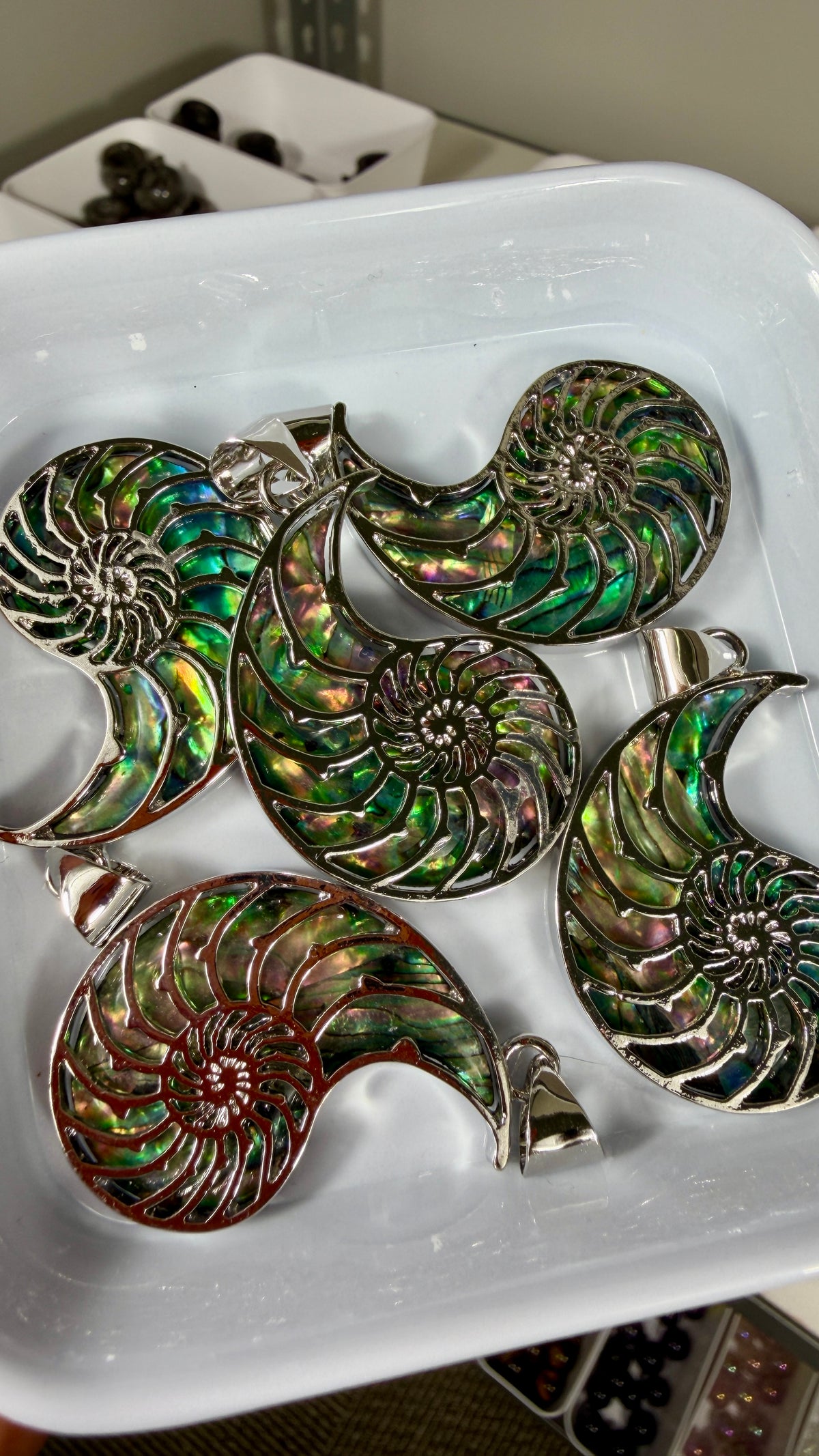 One (1) Abalone Shell Nautilus Shell Pendant | Intuitively Chosen