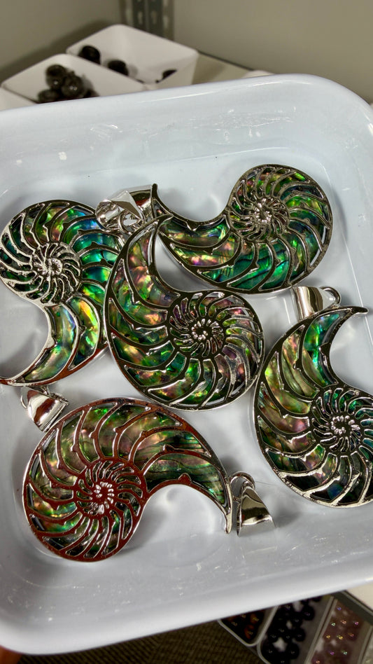 One (1) Abalone Shell Nautilus Shell Pendant | Intuitively Chosen