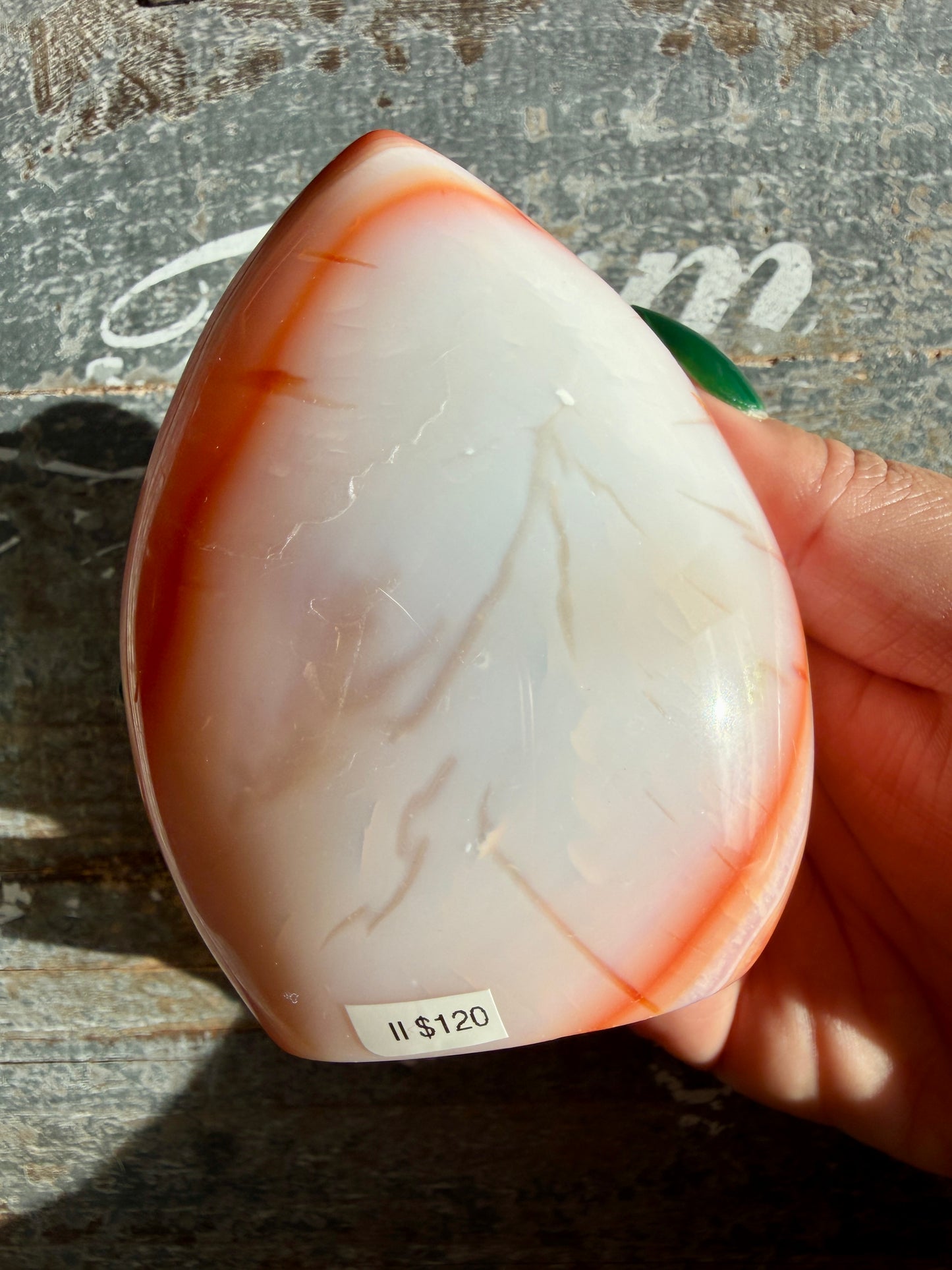 Gorgeous Carnelian + Orca Agate Flame | Opt II
