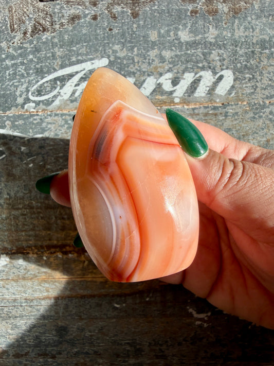 Gorgeous Carnelian + Orca Agate Flame | Opt GG