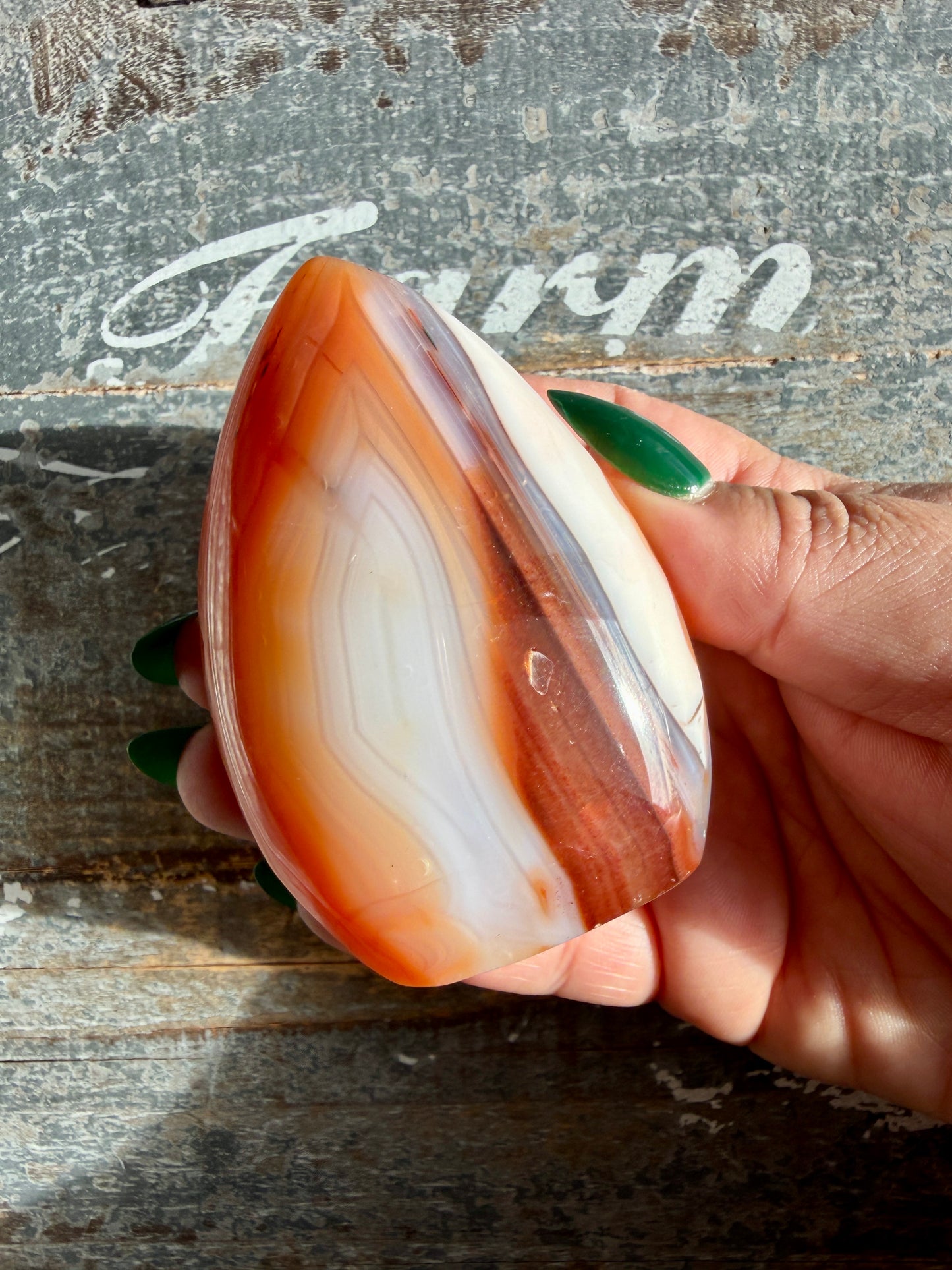 Gorgeous Carnelian + Orca Agate Flame | Opt OO