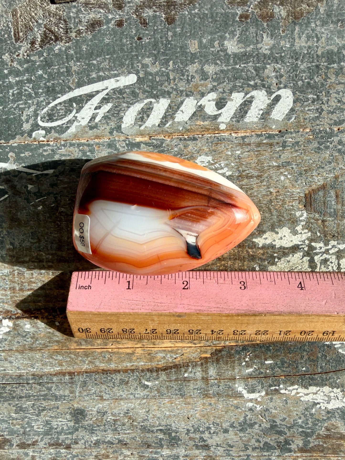 Gorgeous Carnelian + Orca Agate Flame | Opt OO
