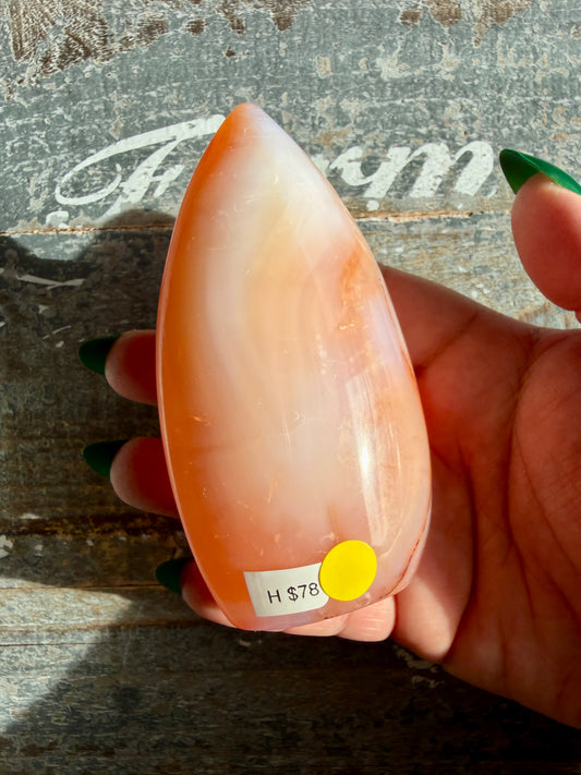 Gorgeous Carnelian + Orca Agate Flame | Opt H | Can't Stand