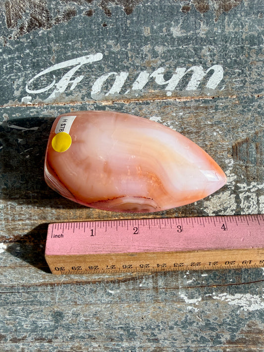 Gorgeous Carnelian + Orca Agate Flame | Opt H | Can't Stand