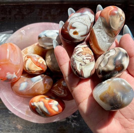 One (1) Gorgeous Unique Orca Agate & Carnelian Large Tumble