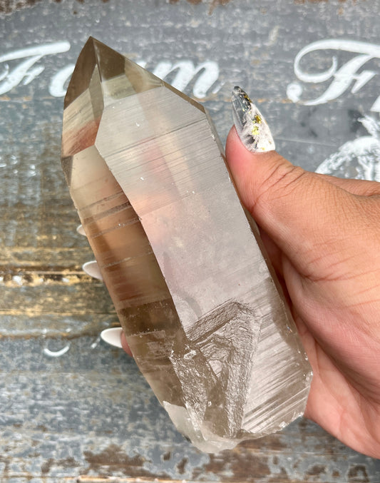 Gorgeous Rare Gothic Black Phantom Lemurian Quartz from Brazil