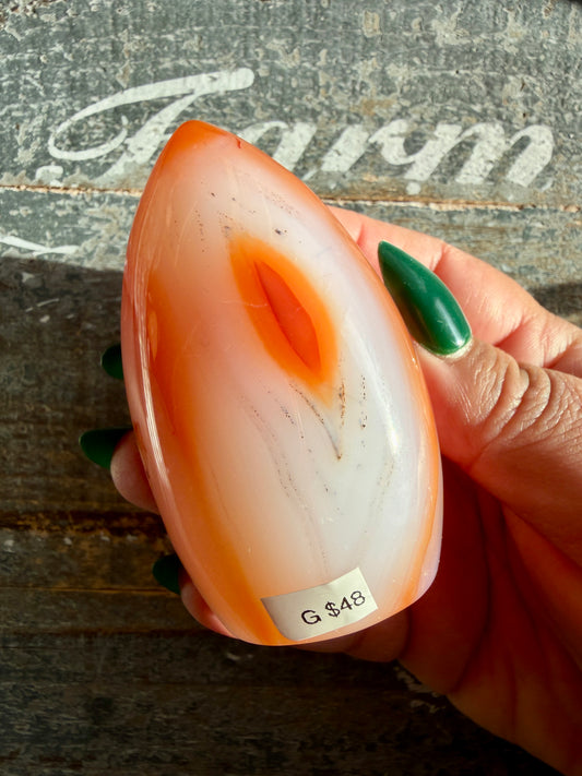 Gorgeous Carnelian + Orca Agate Flame | Opt G
