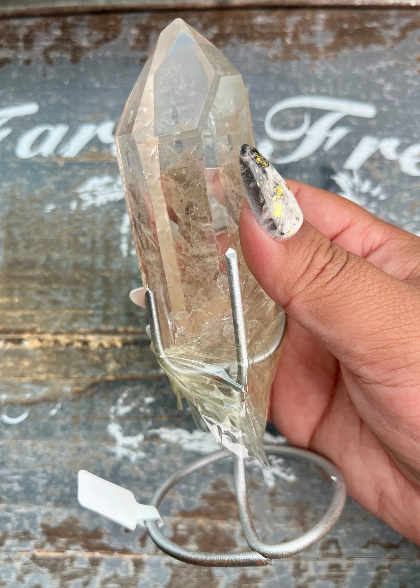 Gorgeous High Quality Lemurian on Custom Stand from Brazil