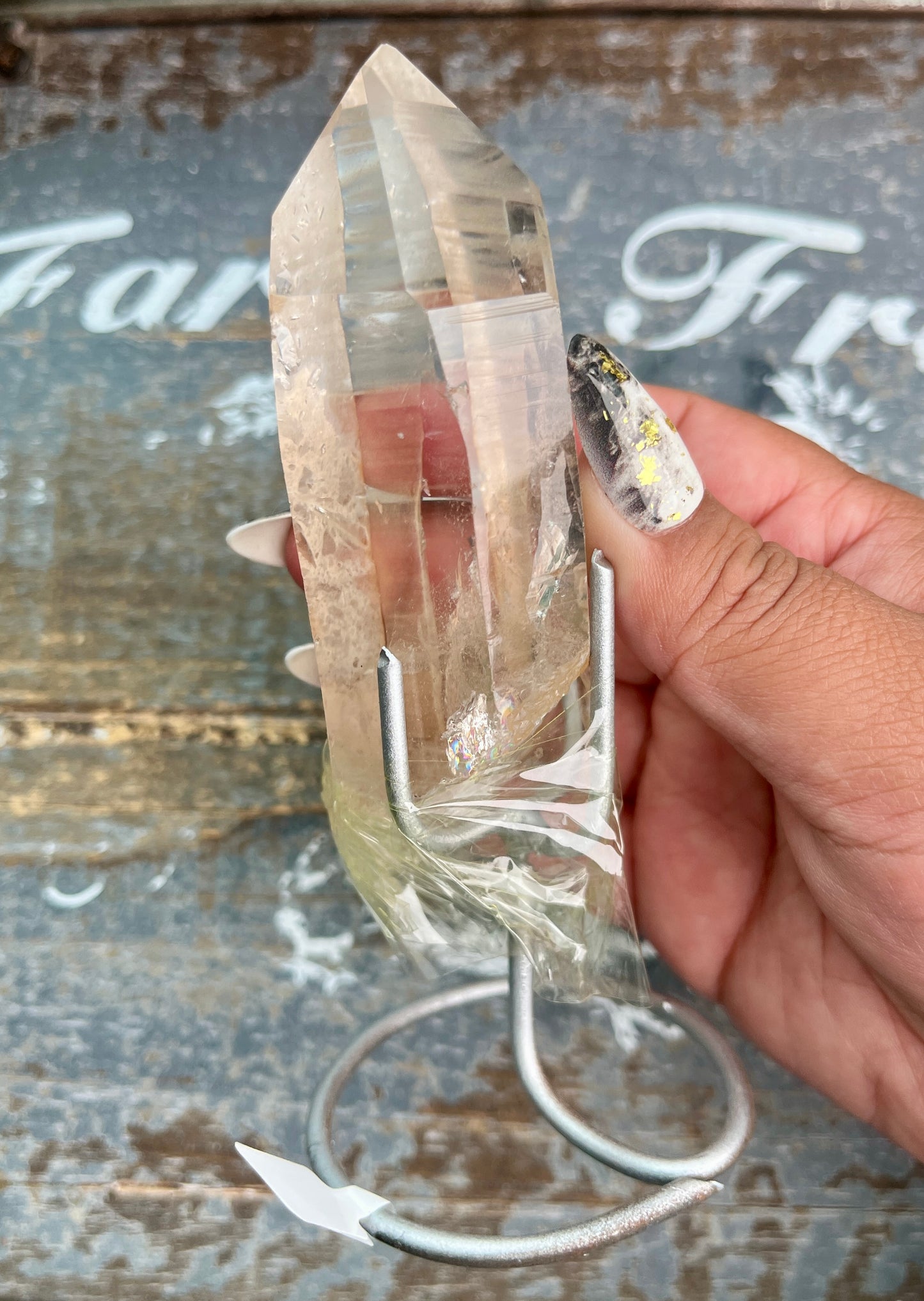 Gorgeous High Quality Lemurian on Custom Stand from Brazil