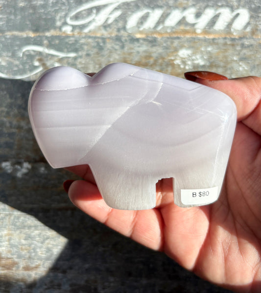 Gorgeous Lavender Fluorite Buffalo | Opt B