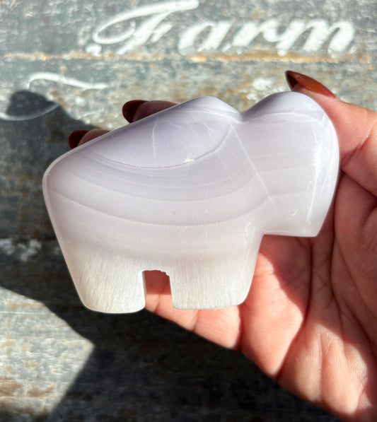 Gorgeous Lavender Fluorite Buffalo | Opt B