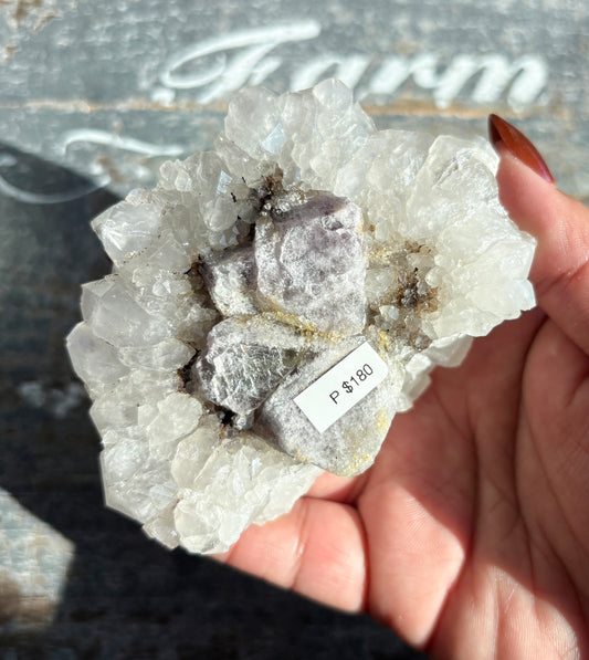 Gorgeous Aura Fluorite Cluster | Opt P